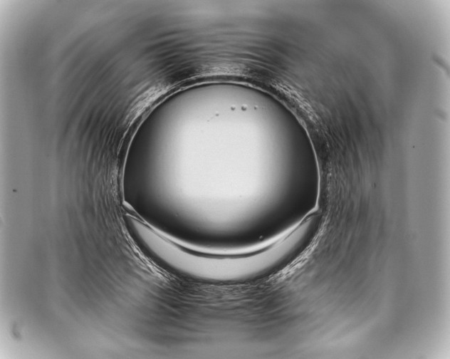 X0000098081121200804181152