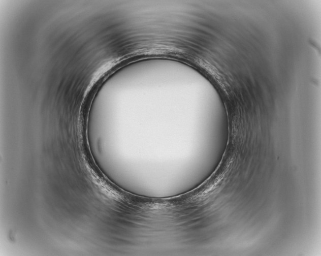 X0000098081122200804181152