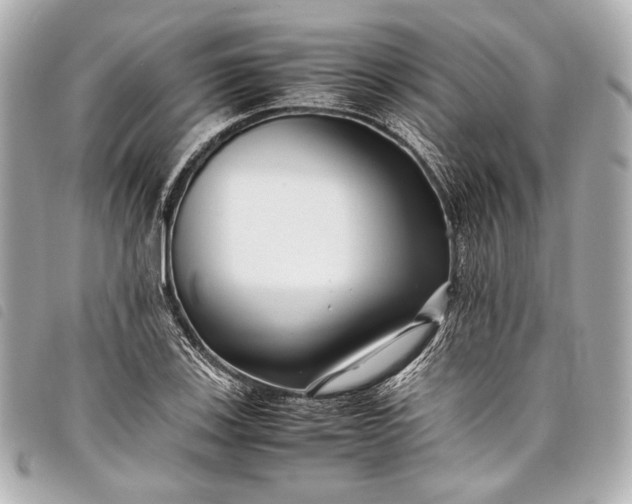 X0000098081123200804181152