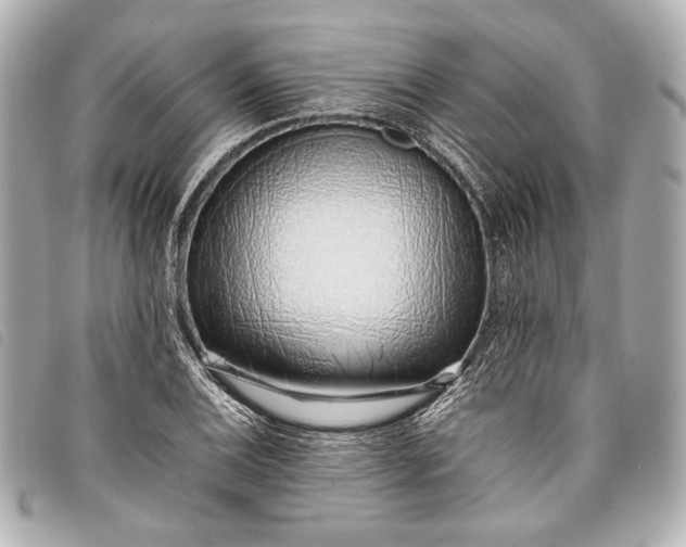 X0000098081124200804181152