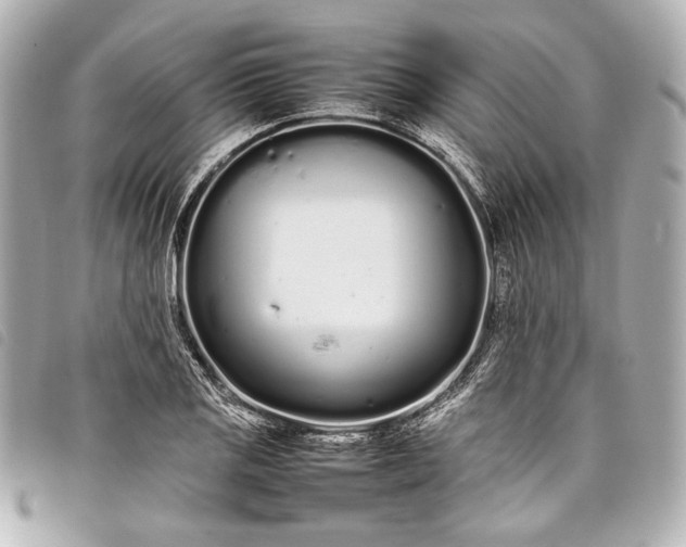 X0000098081125200804181152