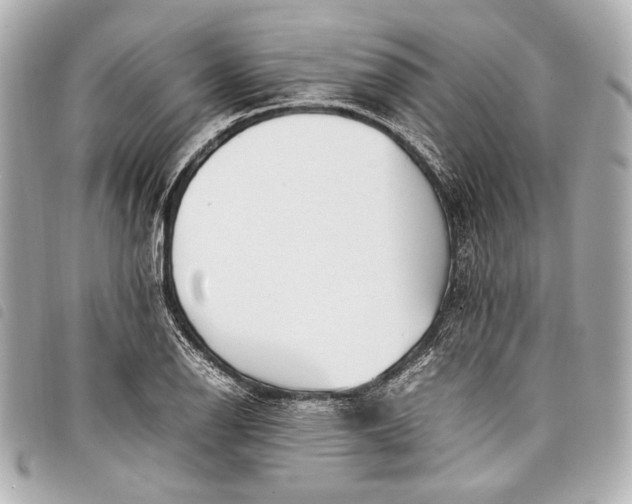 X0000098081126200804181152