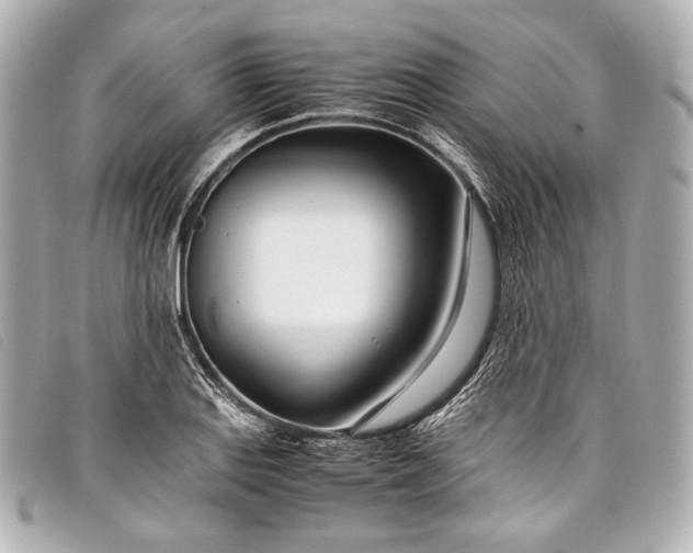 X0000098081127200804181152