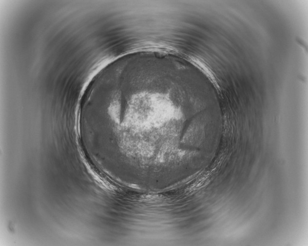 X0000098081128200804181152