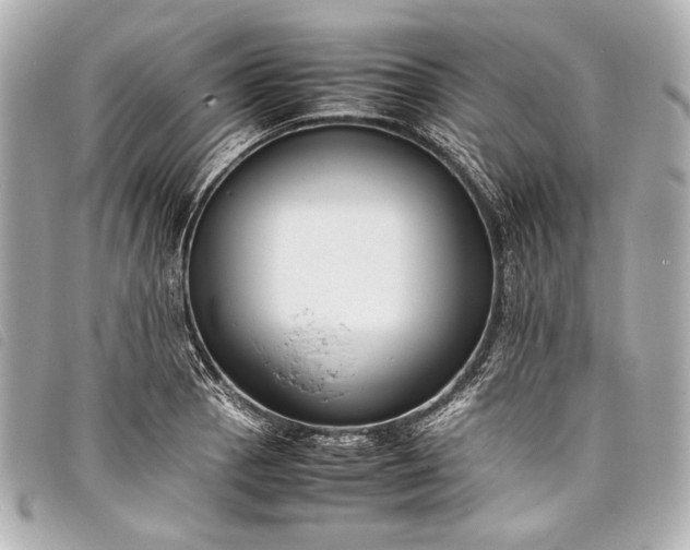 X0000098081129200804181152