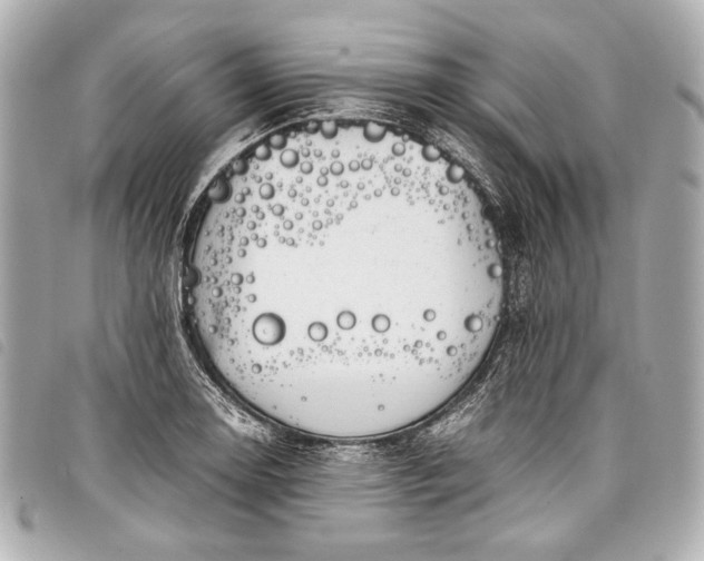 X0000098081130200804181152