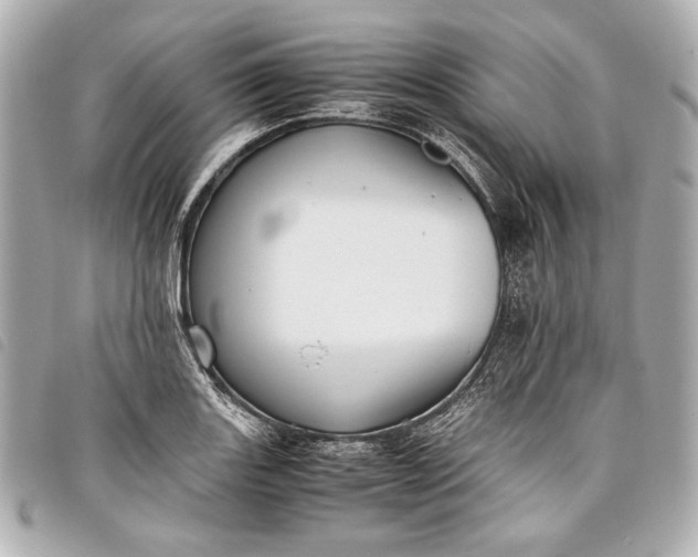 X0000098081131200804181152