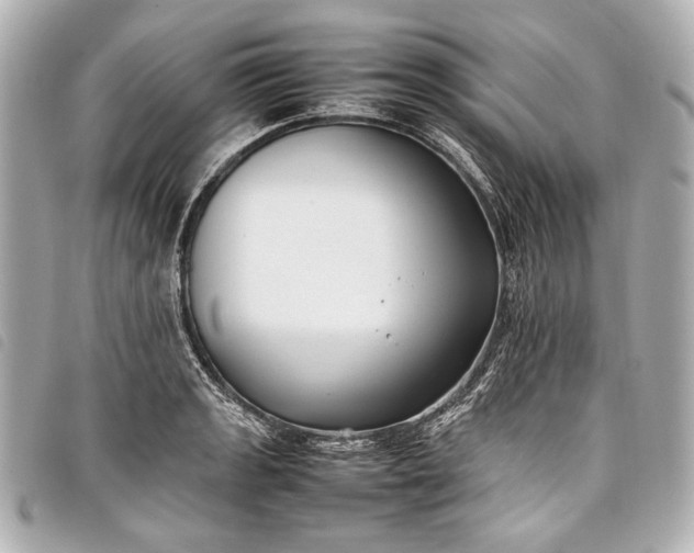 X0000098081133200804181152