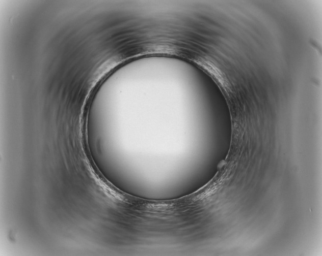 X0000098081135200804181152