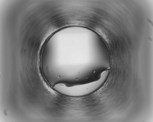 X0000098081136200804181152