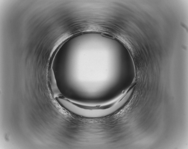 X0000098081138200804181152