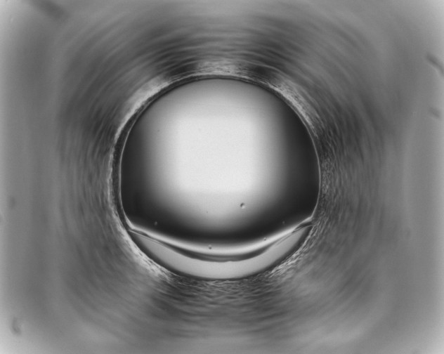 X0000098081139200804181152