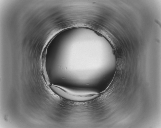 X0000098081140200804181152