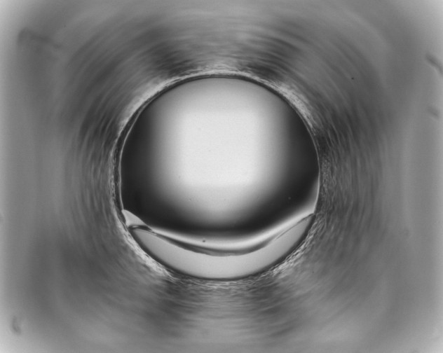 X0000098081142200804181152