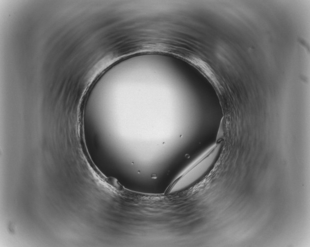 X0000098081143200804181152