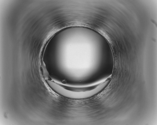 X0000098081144200804181152