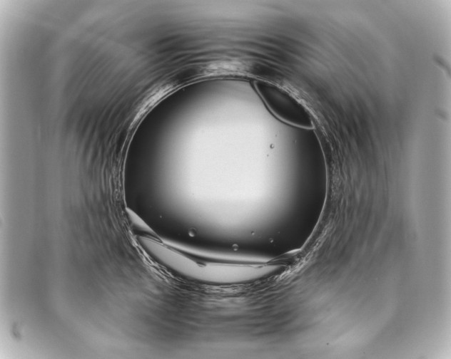 X0000098081145200804181152