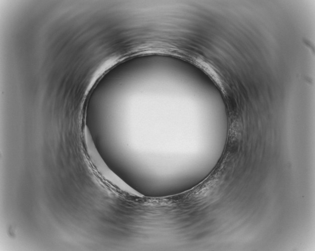 X0000098081146200804181152