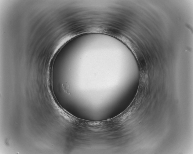 X0000098081147200804181152