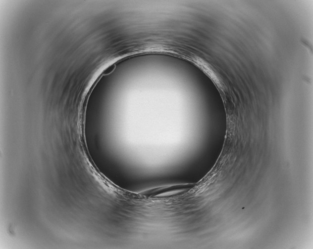 X0000098081148200804181152