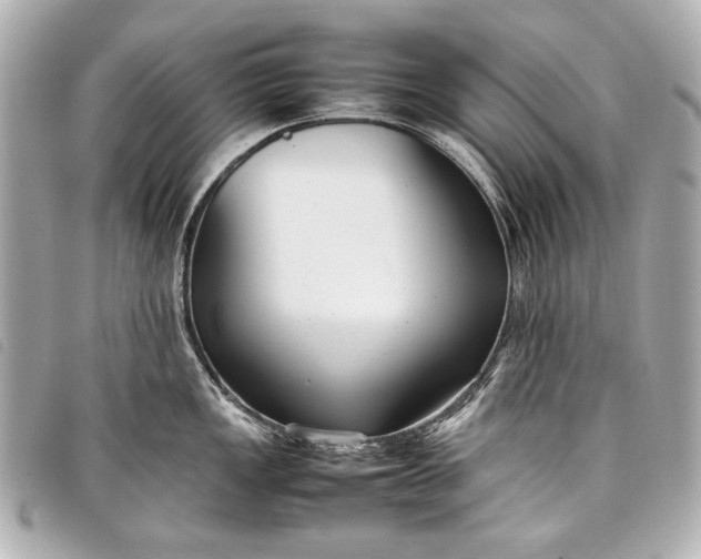 X0000098081149200804181152