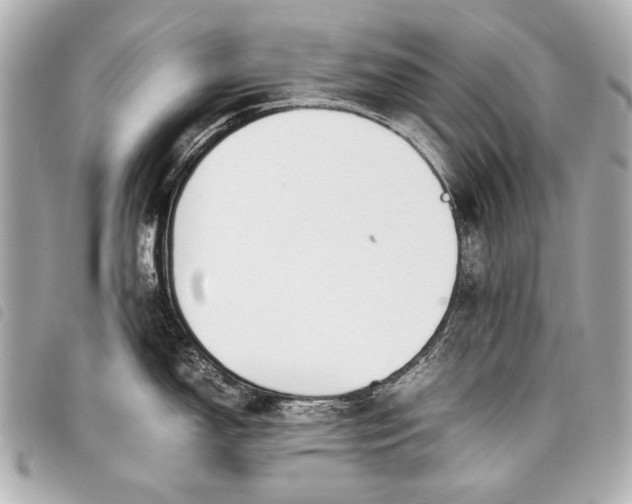 X0000098081150200804181152