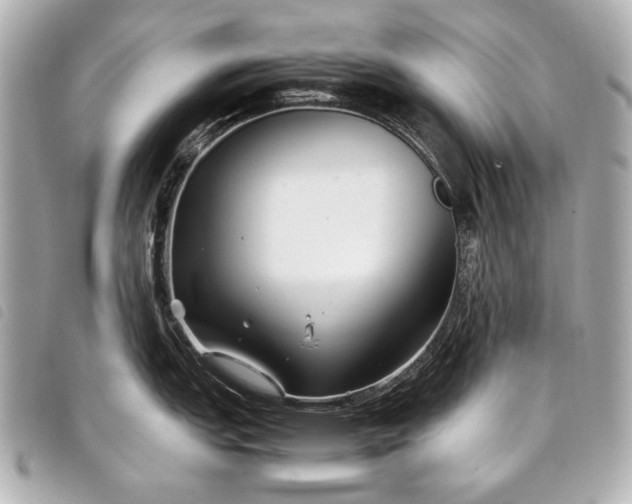 X0000098081151200804181152