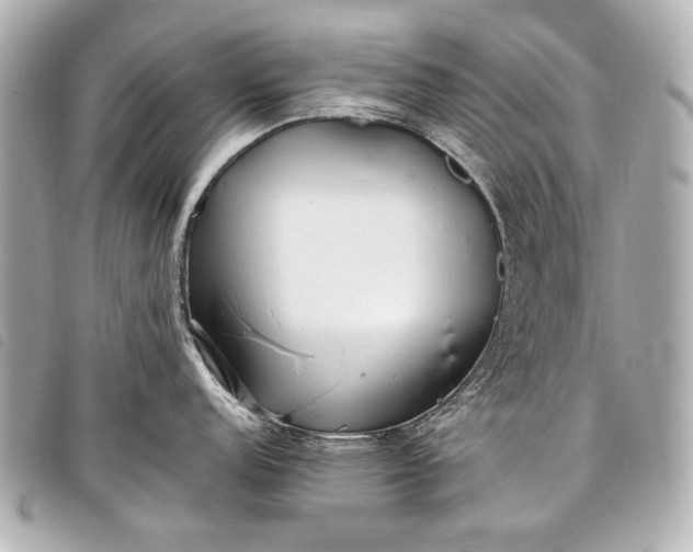 X0000098081152200804181152