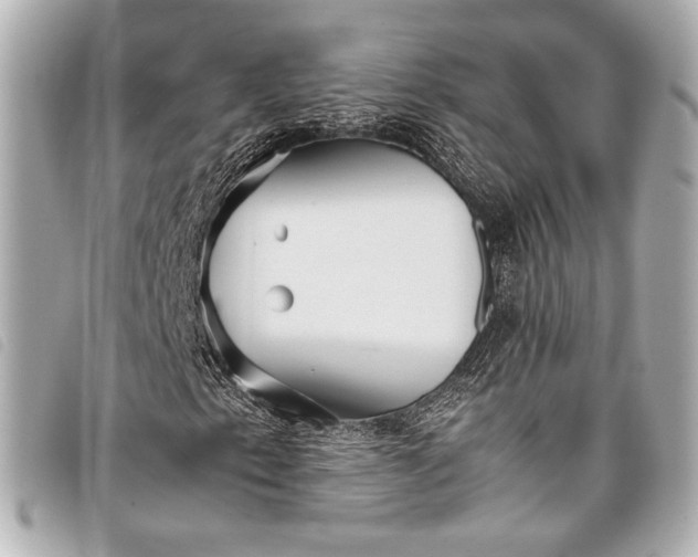 X0000098081153200804181151