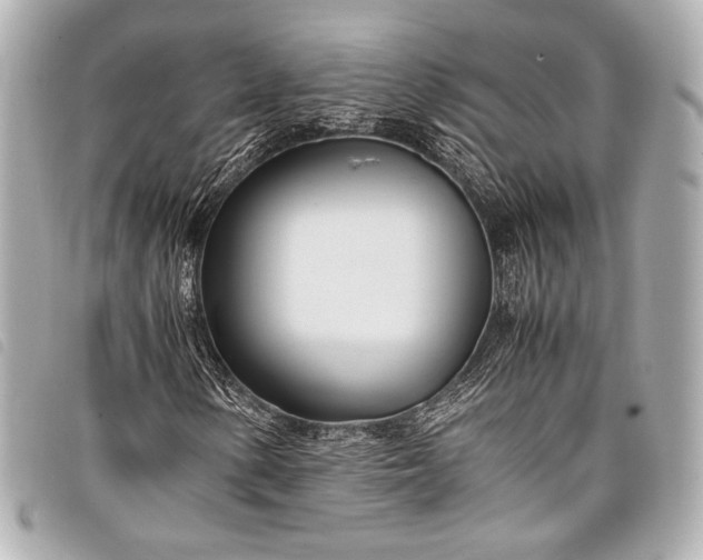 X0000098081154200804181151