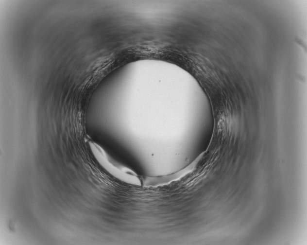 X0000098081156200804181151