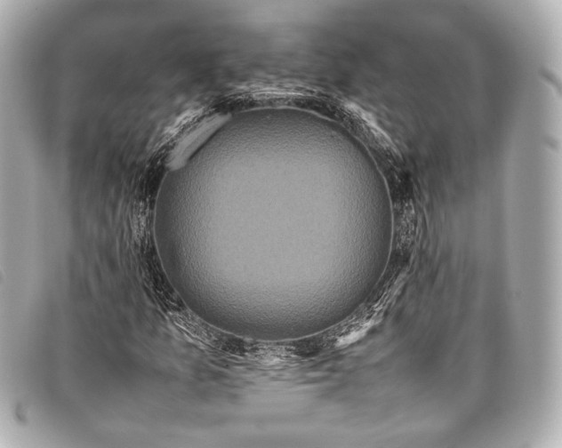 X0000098081157200804181151