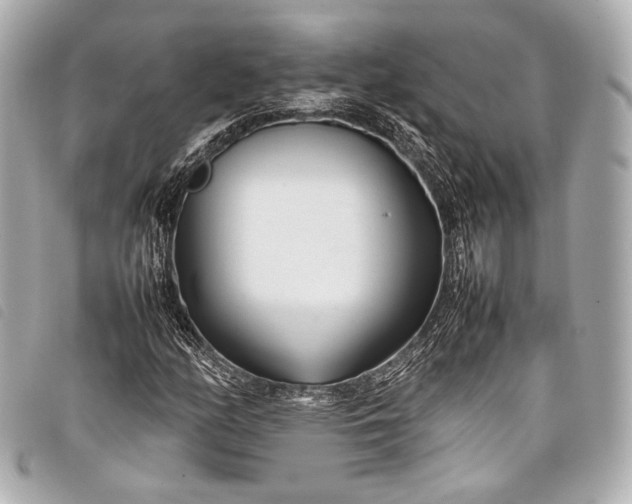 X0000098081158200804181151