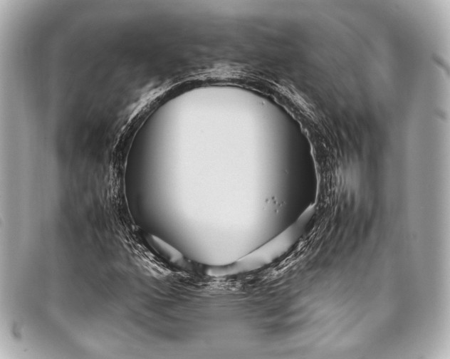 X0000098081160200804181151