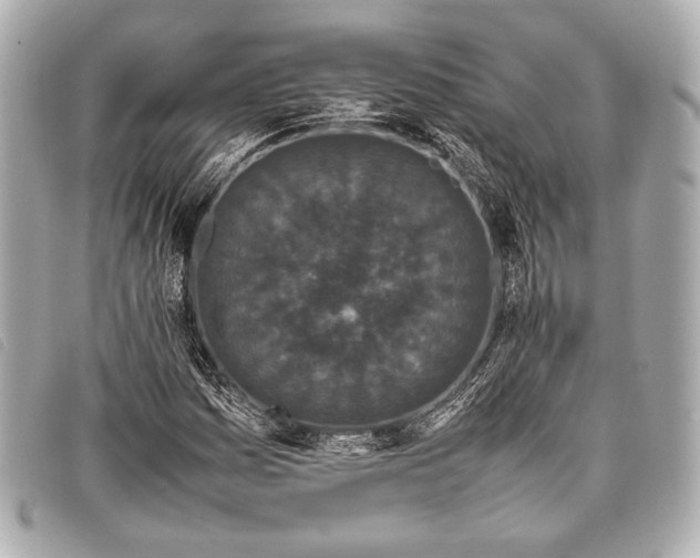 X0000098081161200804181151