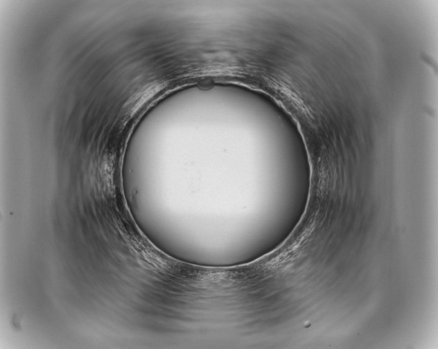 X0000098081162200804181151