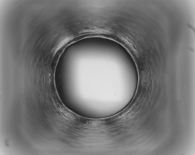 X0000098081163200804181151