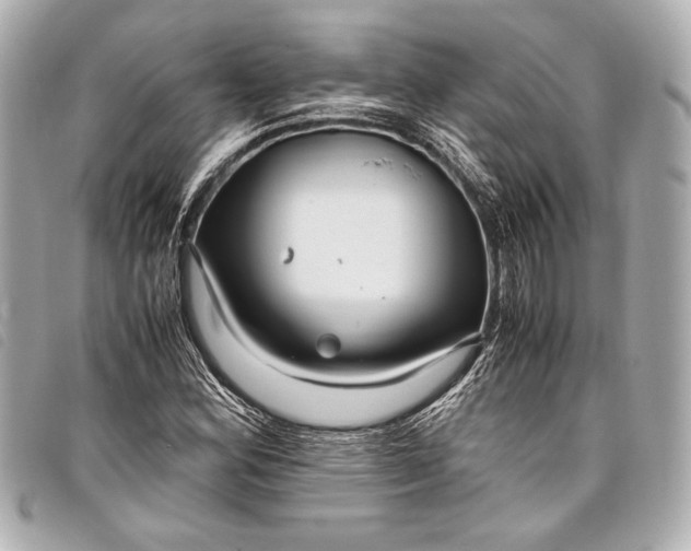 X0000098081164200804181151