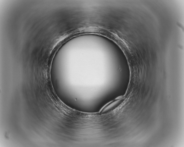 X0000098081166200804181151