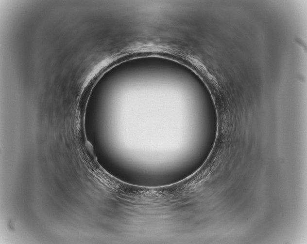 X0000098081167200804181151