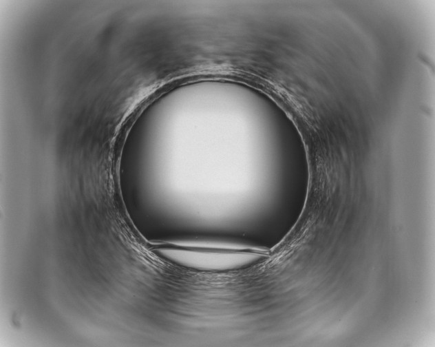 X0000098081168200804181151