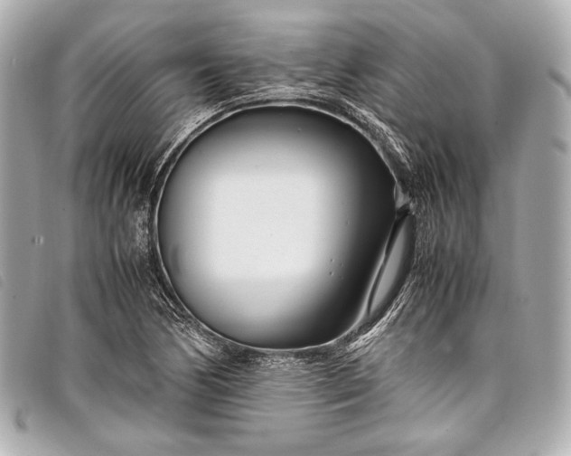 X0000098081170200804181151