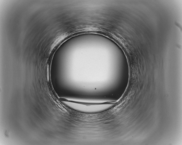 X0000098081171200804181151