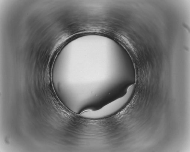 X0000098081172200804181151