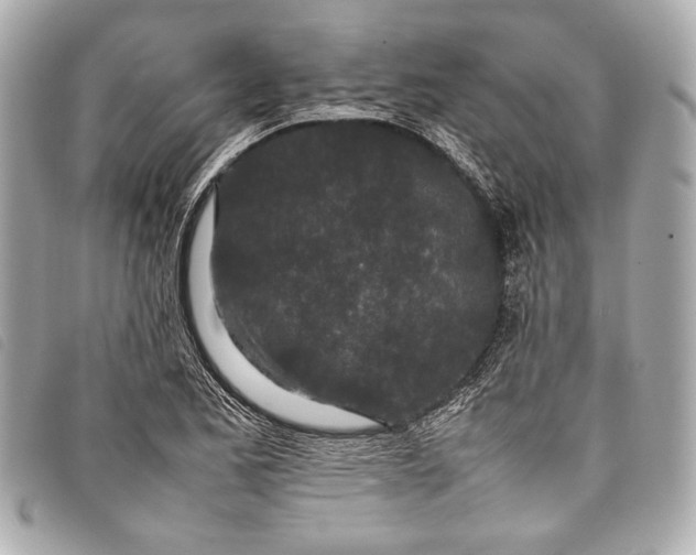 X0000098081173200804181151