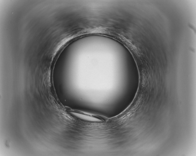 X0000098081174200804181151