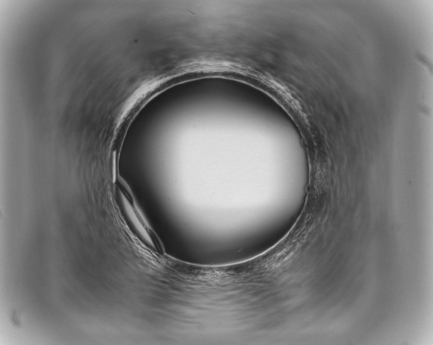 X0000098081175200804181151