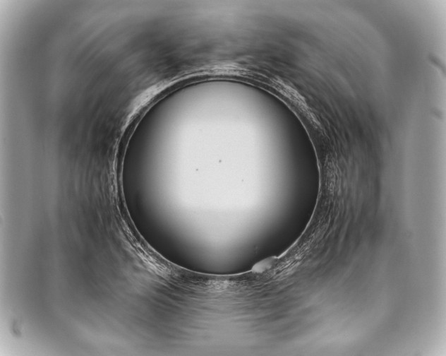 X0000098081176200804181151