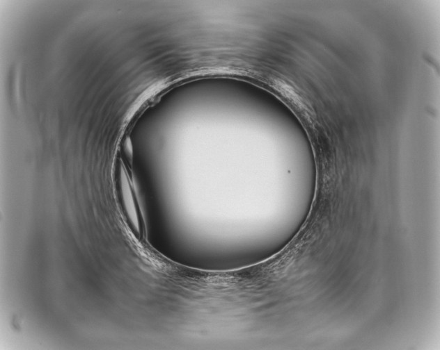 X0000098081181200804181151