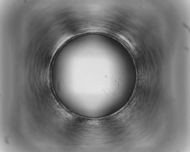 X0000098081182200804181151